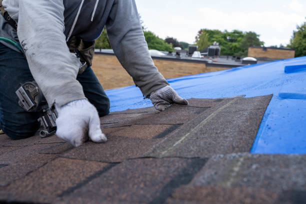 Best Sealant for Roof  in Shadyside, OH